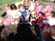 Sklízíme úrodu na zahrádce